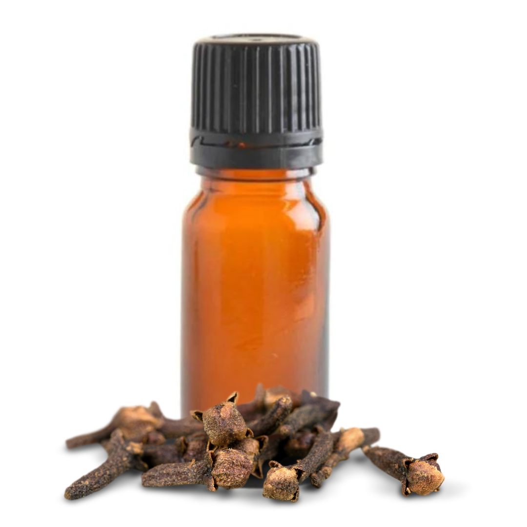 Clove Bud Essential Oil - 10ml