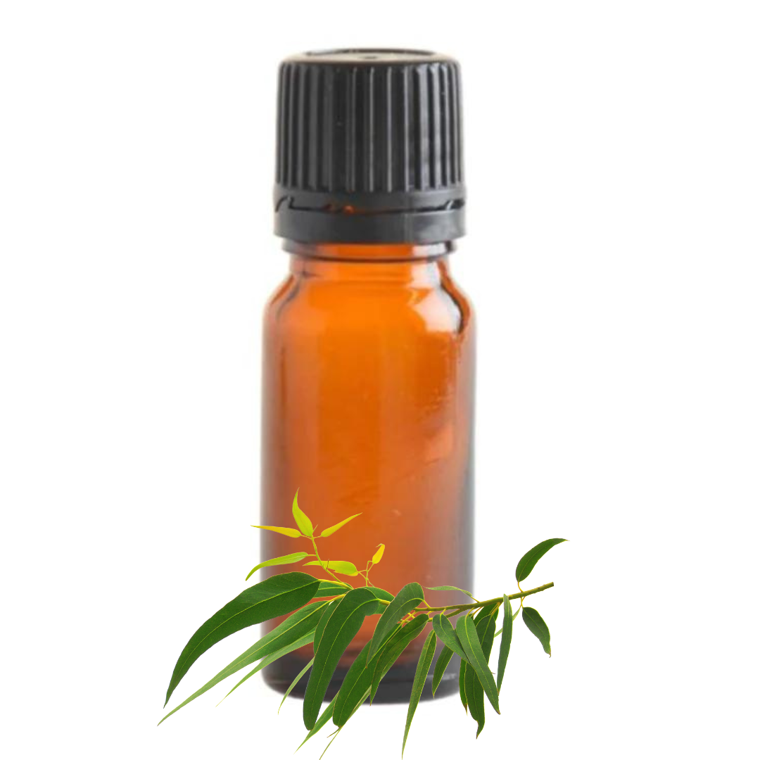 Eucalyptus (Lemon) Essential Oil - 10ml