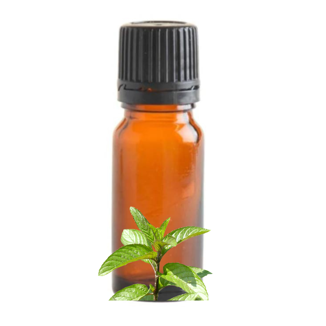 Tea Tree Essential Oil - 10ml