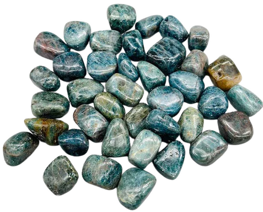 1 lb Apatite Tumbled Stones