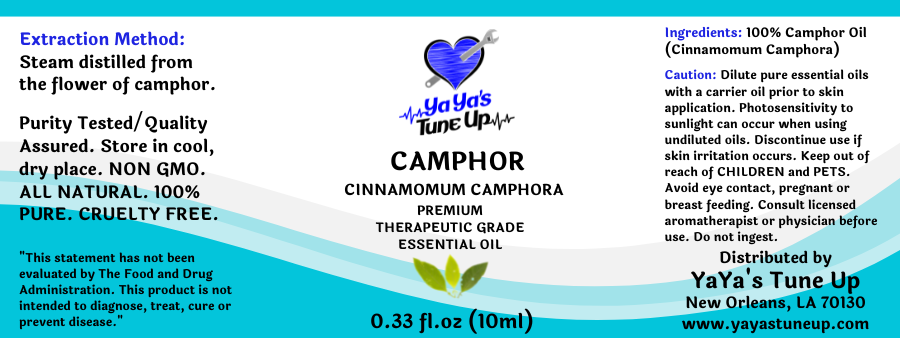 Camphor Essential Oil - 10ml