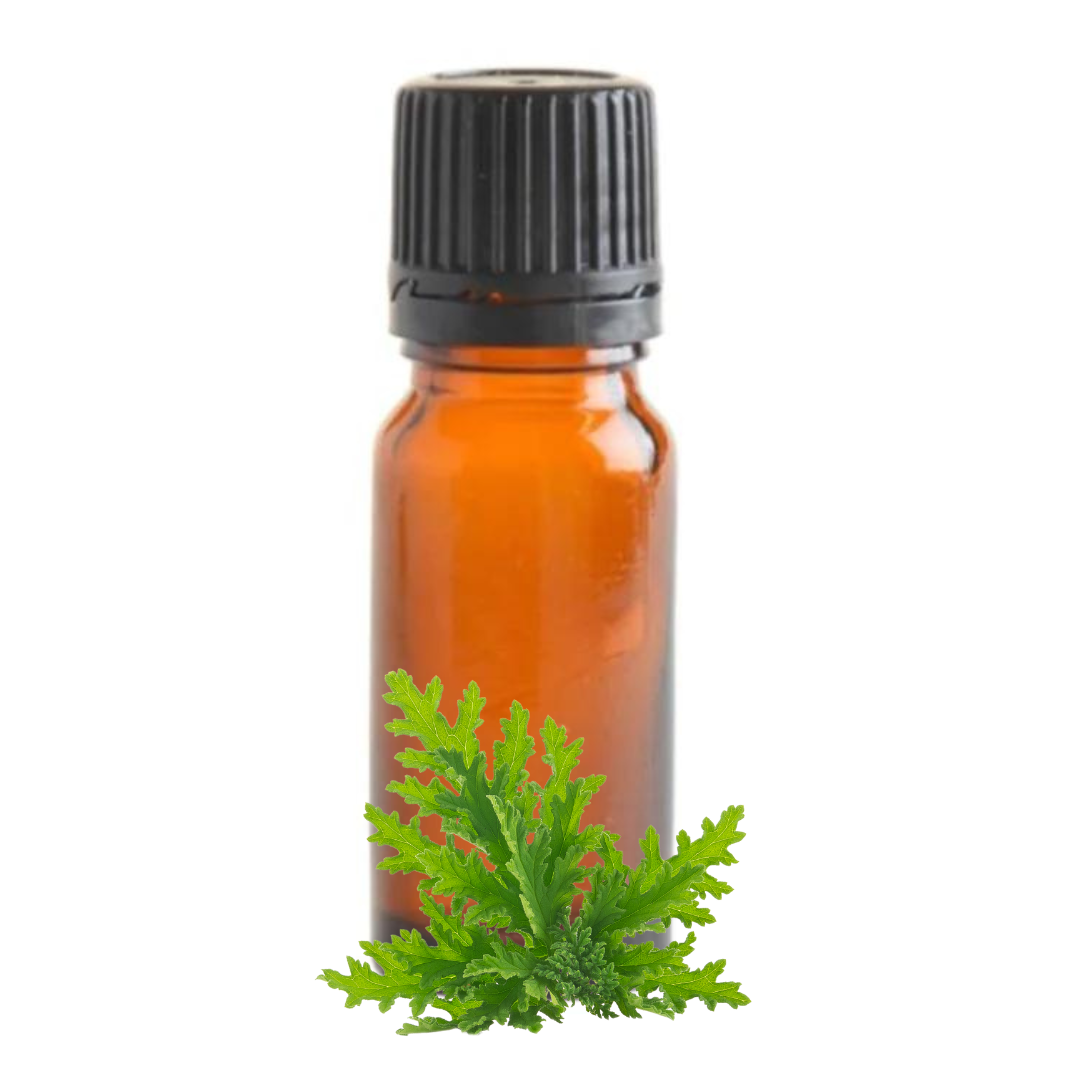 Citronella Essential Oil - 10ml