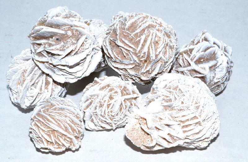 1 lb Desert Rose