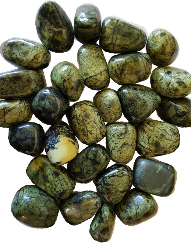 1 lb Asterite Serpentine Tumbled Stones