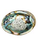 3" - 4" Abalone Shell Incense Burner