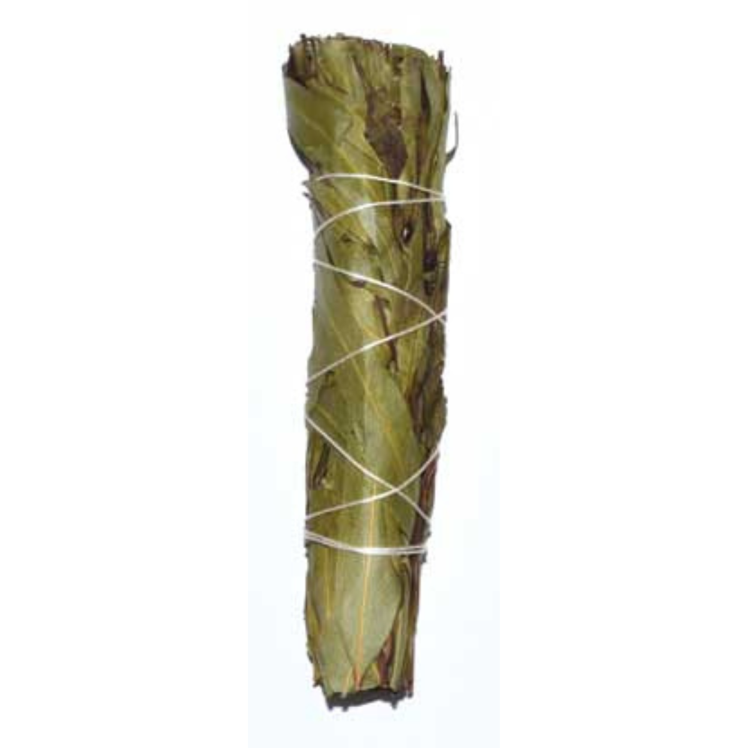 4" Eucalyptus Citridora Smudge Stick