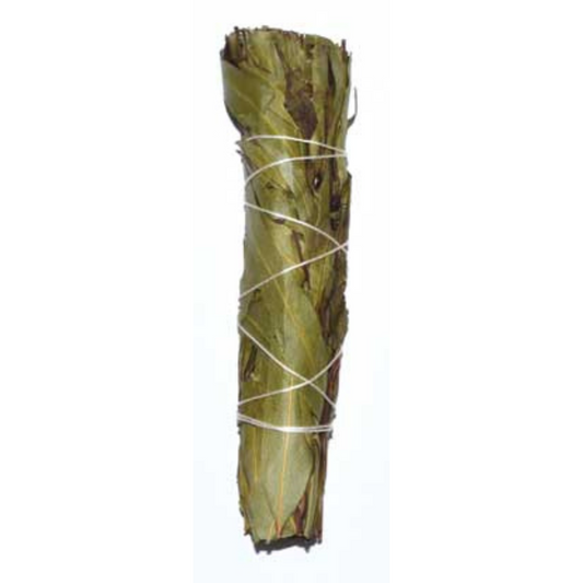 4" Eucalyptus Citridora Smudge Stick
